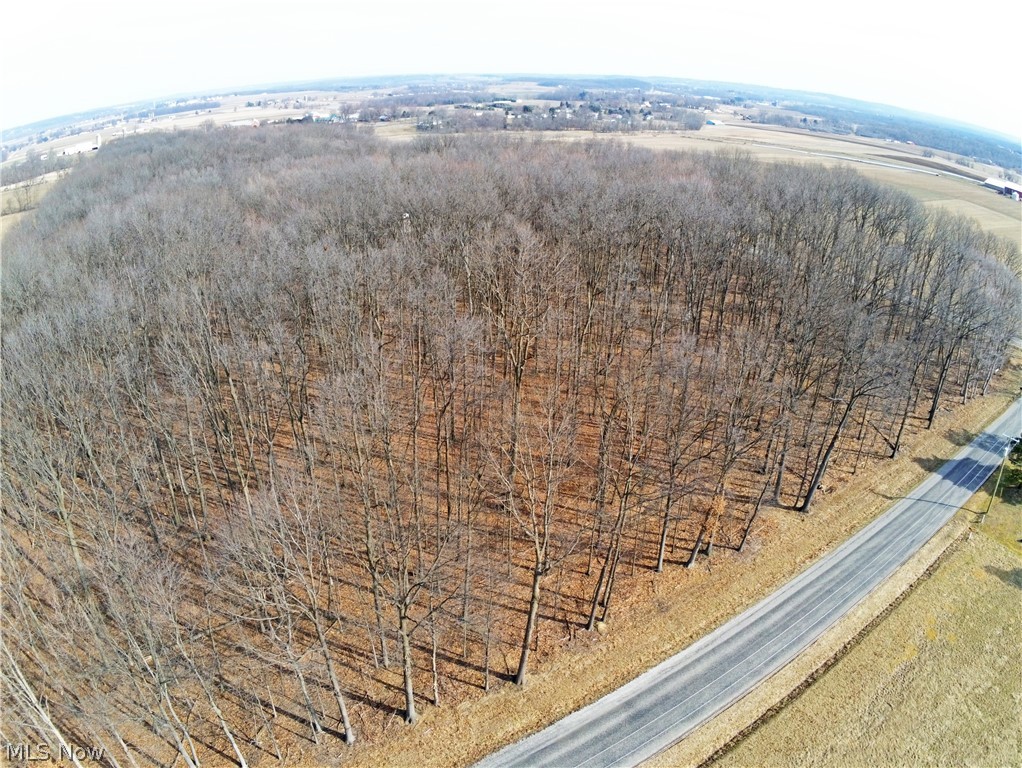 10666 Yoder Road Rittman, OH 44270 - Photo 3 of 6 Gallery Image 3