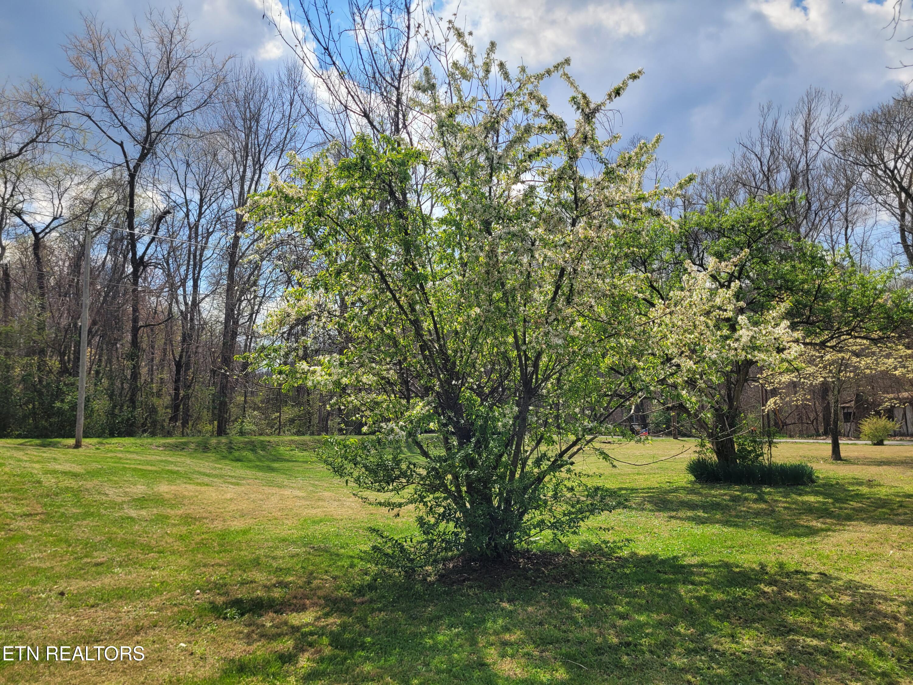 1395 Bluets Road Newport, TN 37821 - Photo 16 of 18 20260326_144129
