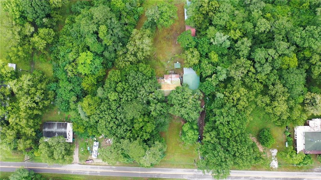 5011 Penfield Road Union Point, GA 30669 - Photo 61 of 68 a view of a tree in a yard