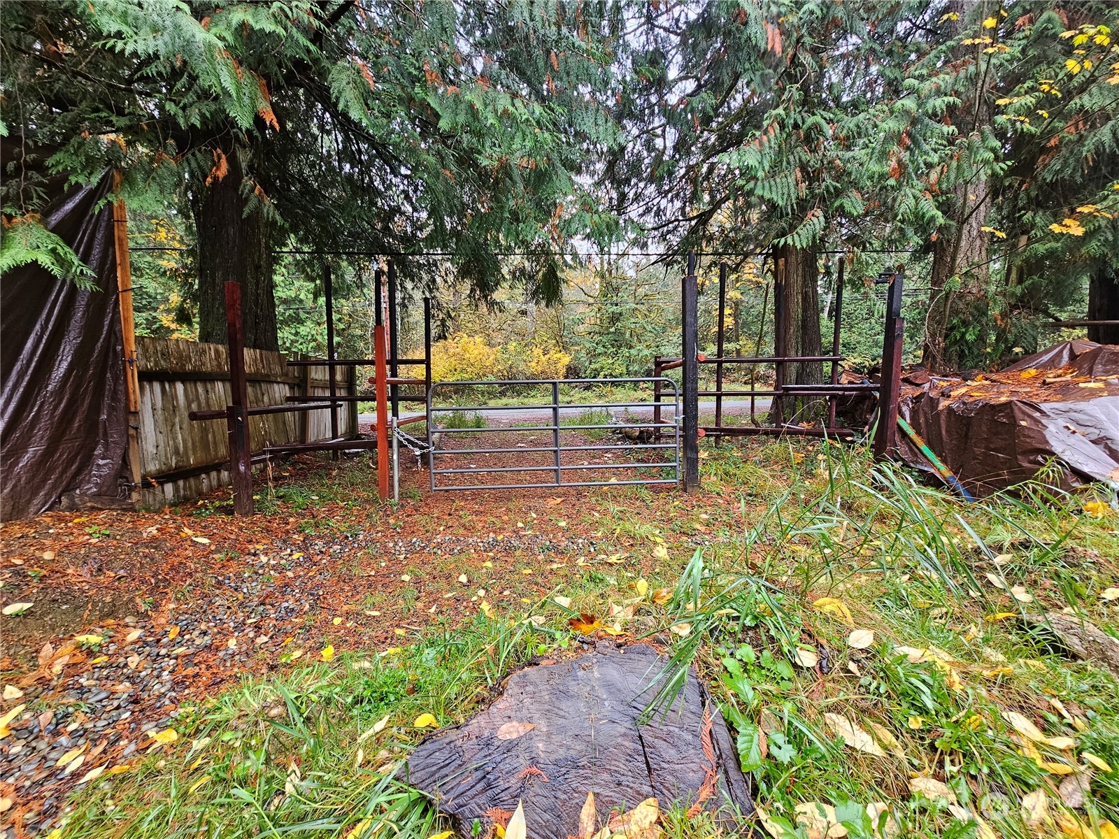 5791 East Agate Road Shelton, WA 98584 - Photo 5 of 13 Gallery Image 5