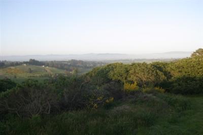 105 Ridgeview Lane Sebastopol, CA 95472 - Photo 1 of 10 a view of a city with lush green forest