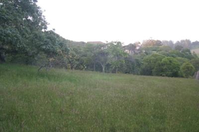 105 Ridgeview Lane Sebastopol, CA 95472 - Photo 4 of 10 a view of a field with trees in background