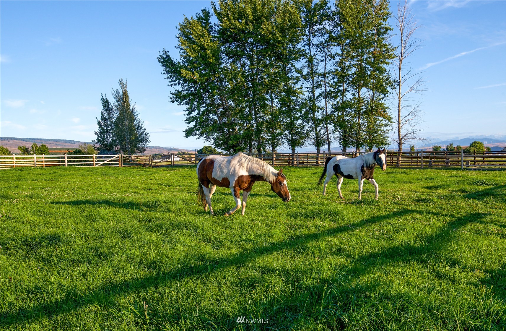 2720 Cove Road Ellensburg, WA 98926 - Photo 3 of 40 Gallery Image 3