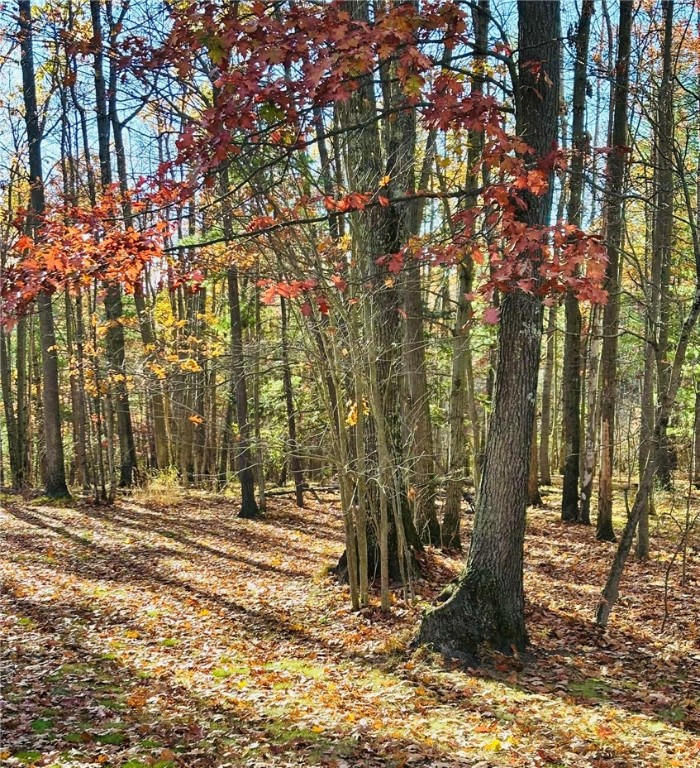 8707 State Line Road Lindley, NY 14858 - Photo 33 of 38 View from back porch