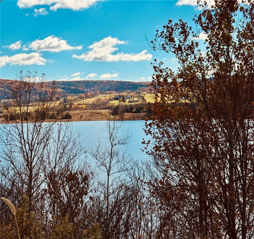 8707 State Line Road Lindley, NY 14858 - Photo 37 of 38 Cowanesque Lake