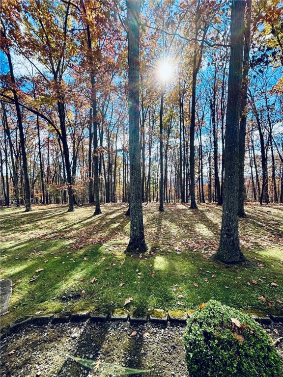 8707 State Line Road Lindley, NY 14858 - Photo 4 of 38 View from covered porch