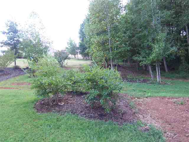 279 Bethany Court Inman, SC 29349 - Photo 18 of 18