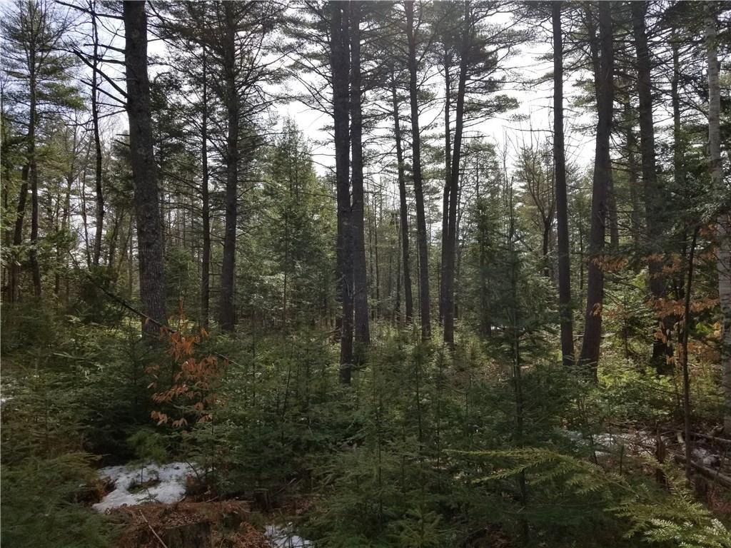 Tbd Tbd Head Tide Hill Road Whitefield, ME 04353 - Photo 9 of 20 Photo