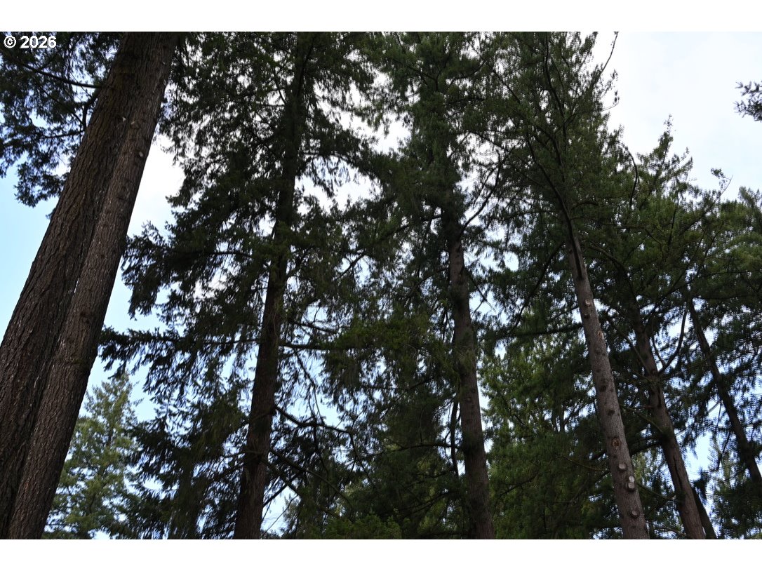 3268 Southeast 153rd Avenue Portland, OR 97236 - Photo 22 of 27 Patio