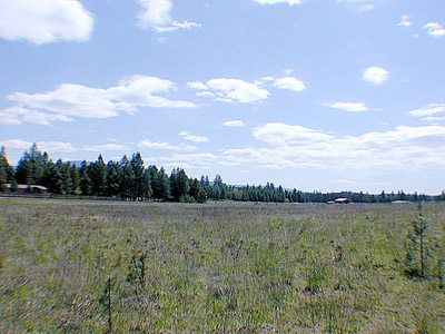 0 Elk Chattaroy & Muehle Roads Elk, WA 99009 - Photo 1 of 5 Gallery Image 1