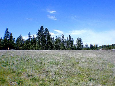 0 Elk Chattaroy & Muehle Roads Elk, WA 99009 - Photo 2 of 5 Gallery Image 2