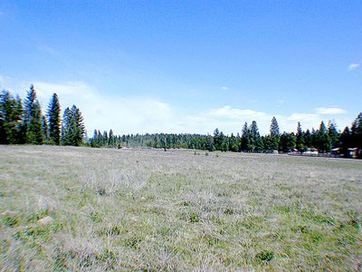0 Elk Chattaroy & Muehle Roads Elk, WA 99009 - Photo 3 of 5 Gallery Image 3