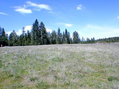 0 Elk Chattaroy & Muehle Roads Elk, WA 99009 - Photo 4 of 5 Gallery Image 4