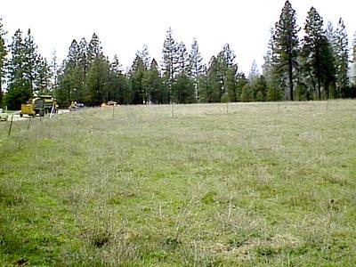 0 Elk Chattaroy & Muehle Roads Elk, WA 99009 - Photo 5 of 5 Gallery Image 5
