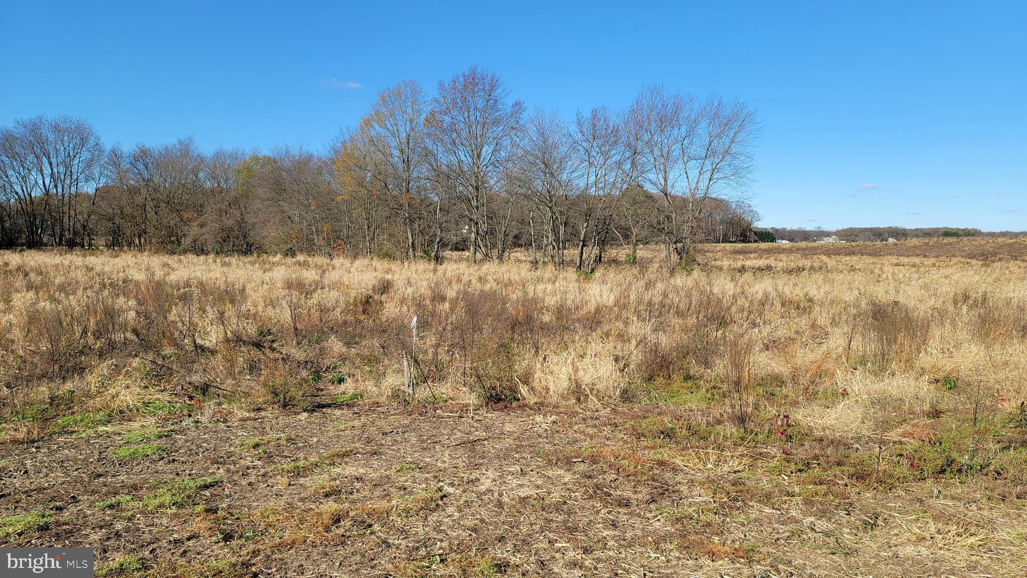 145 Murphy Road, Unit LOT 5 Centreville, MD 21617 - Photo 2 of 3 Lot 5 is near tree line