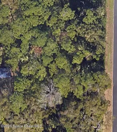 a view of a yard with a tree