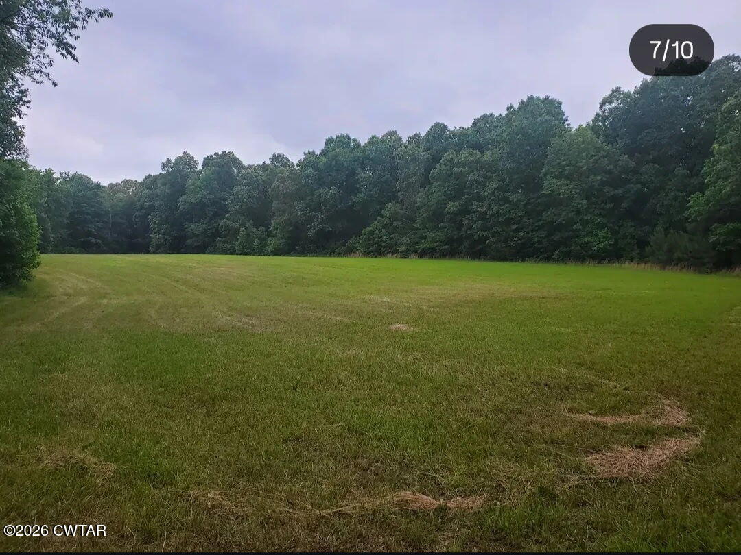 3431 Old Reagan Road Sardis, TN 38371 - Photo 18 of 25 5415