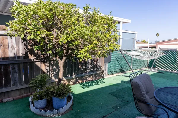 a view of a backyard with table and chairs potted plants and tree