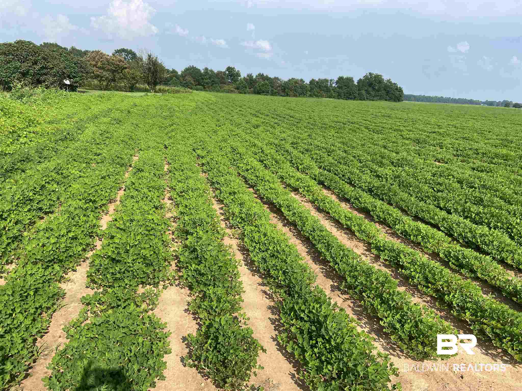 21 Highway 21 Atmore, AL 36502 - Photo 4 of 19