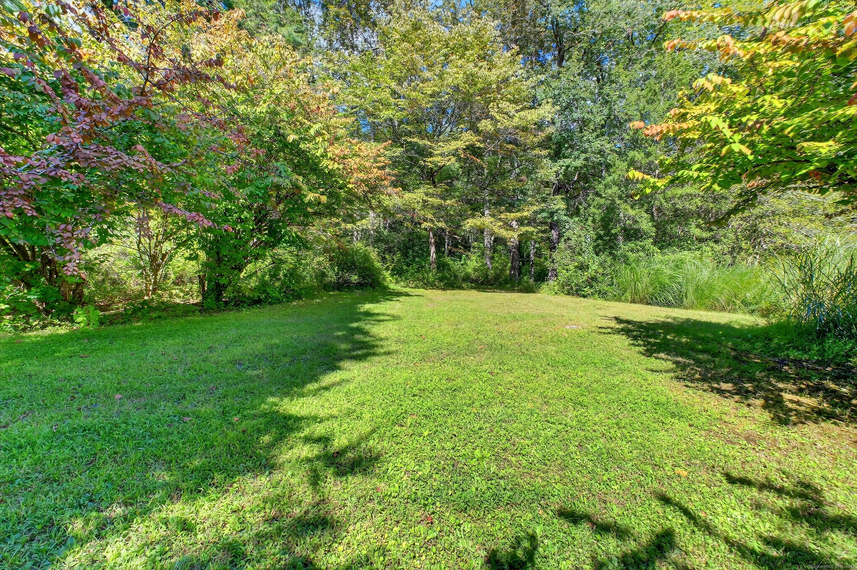 45 Indian Trail Brookfield, CT 06804 - Photo 39 of 40 a view of a grassy field with trees