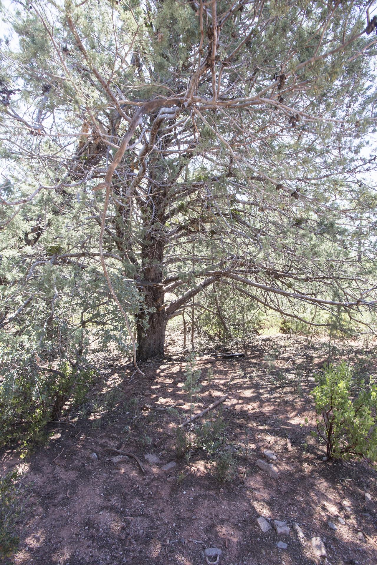 Lot 61 Racoon Ridge Circle Payson, AZ 85541 - Photo 9 of 13