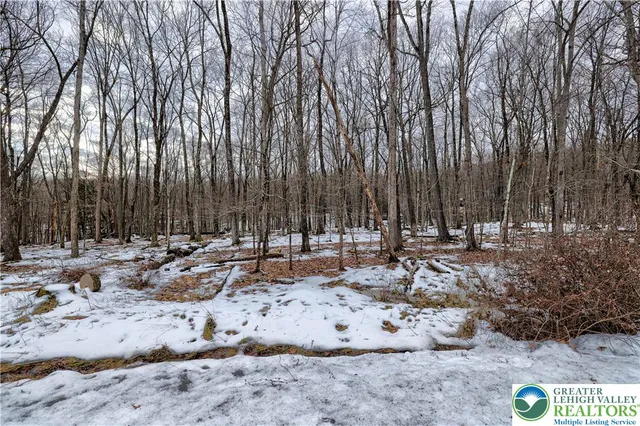a view of a wooden floor with a mountain in the background