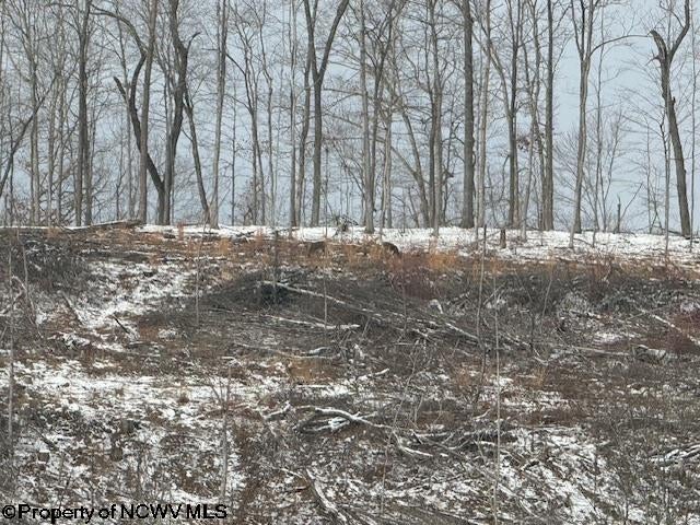 398 Hartley Run Road Le Roy, WV 25252 - Photo 5 of 23 Gallery Image 5