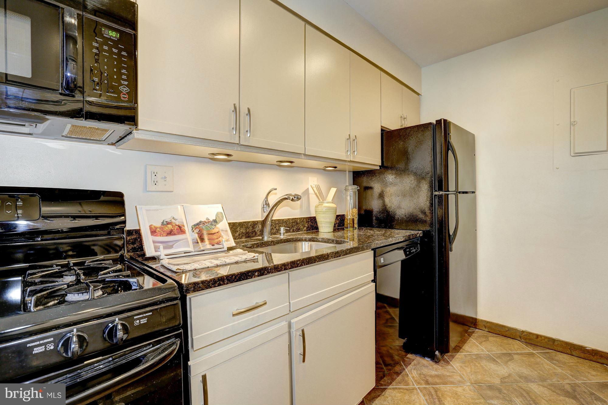 2412 Colston Drive, Unit C103 Silver Spring, MD 20910 - Photo 8 of 18 Kitchen