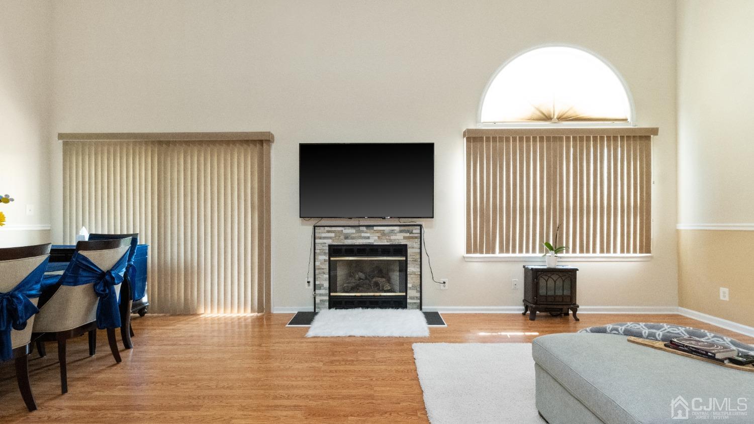 1133 Edpas Road New Brunswick, NJ 08901 - Photo 4 of 26 a living room with furniture a fireplace and a flat screen tv