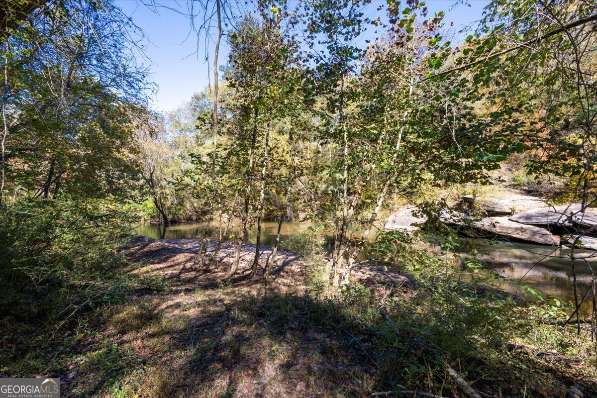 3471 Highway 42 Forsyth, GA 31029 - Photo 11 of 29