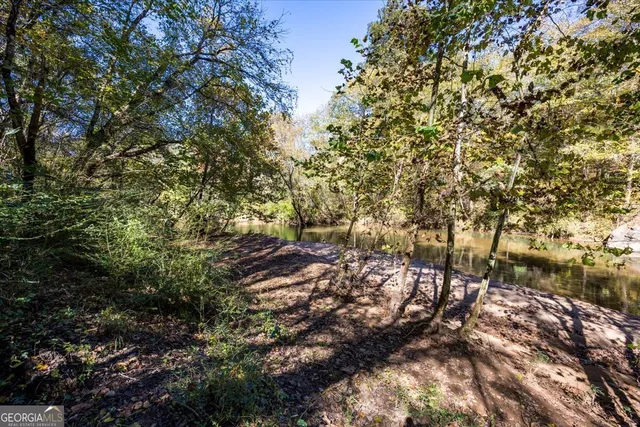 a view of a forest with lots of trees