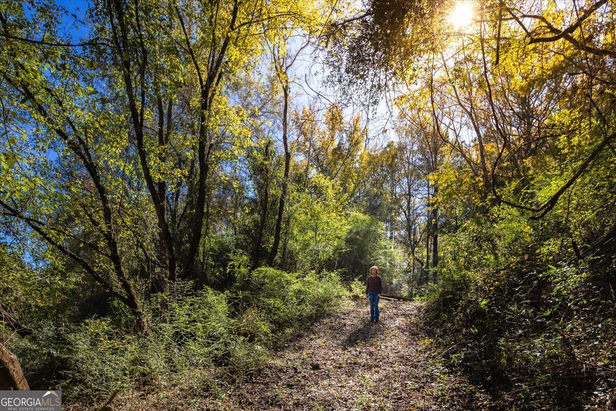 3471 Highway 42 Forsyth, GA 31029 - Photo 13 of 29