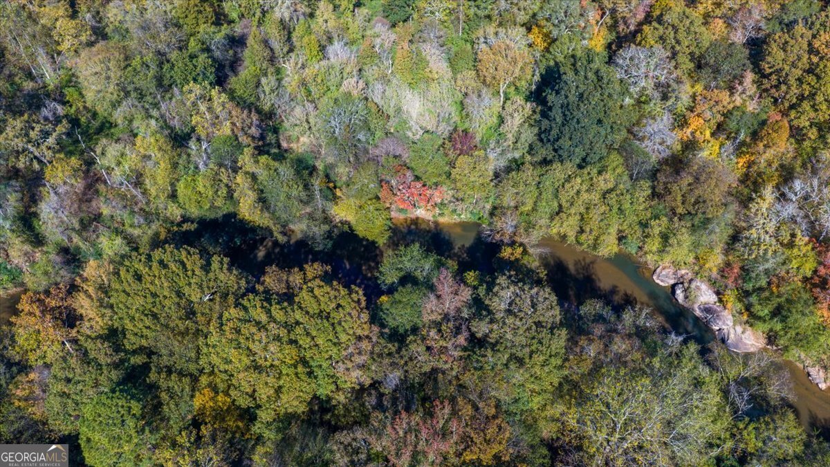 3471 Highway 42 Forsyth, GA 31029 - Photo 15 of 29