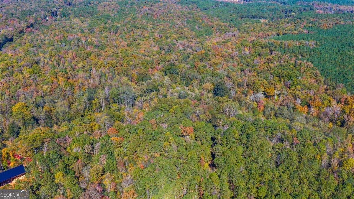 3471 Highway 42 Forsyth, GA 31029 - Photo 16 of 29