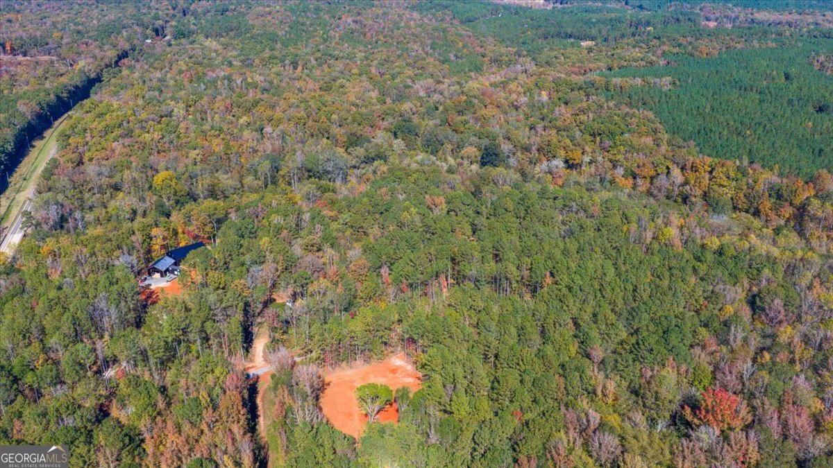 3471 Highway 42 Forsyth, GA 31029 - Photo 17 of 29