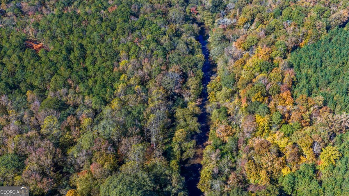 3471 Highway 42 Forsyth, GA 31029 - Photo 19 of 29