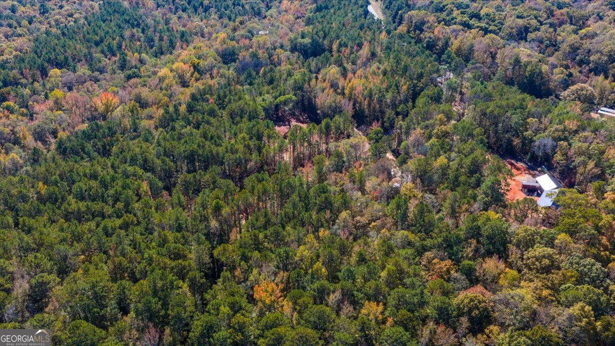 3471 Highway 42 Forsyth, GA 31029 - Photo 21 of 29