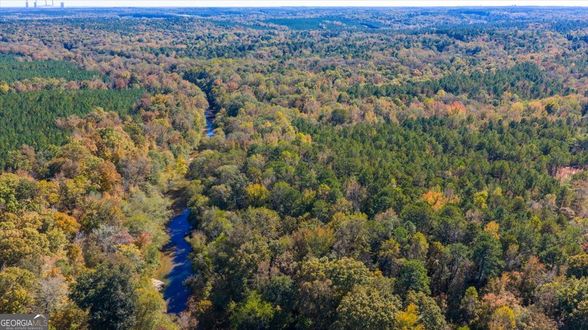 3471 Highway 42 Forsyth, GA 31029 - Photo 23 of 29