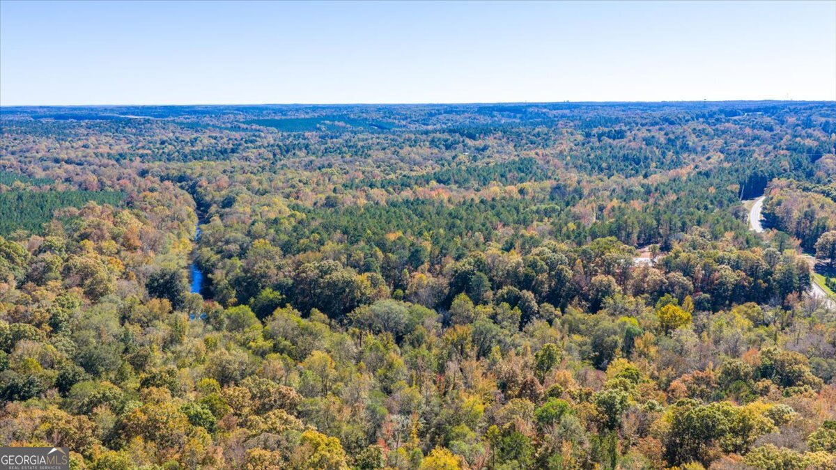 3471 Highway 42 Forsyth, GA 31029 - Photo 24 of 29