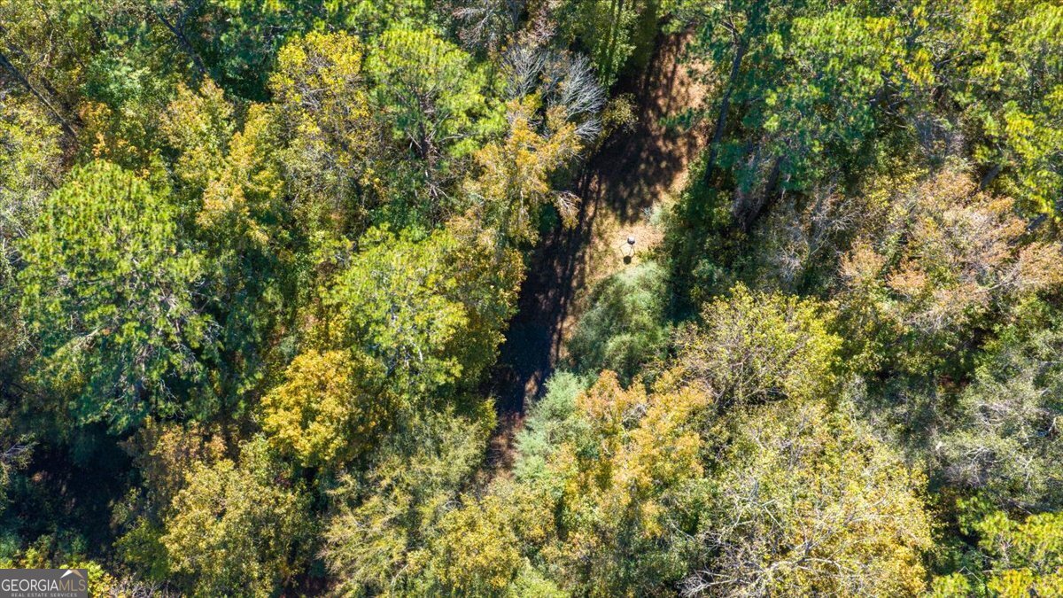 3471 Highway 42 Forsyth, GA 31029 - Photo 27 of 29