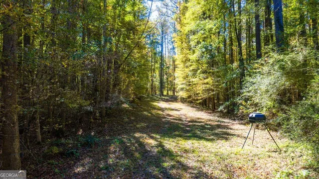 a view of a lake with a tree
