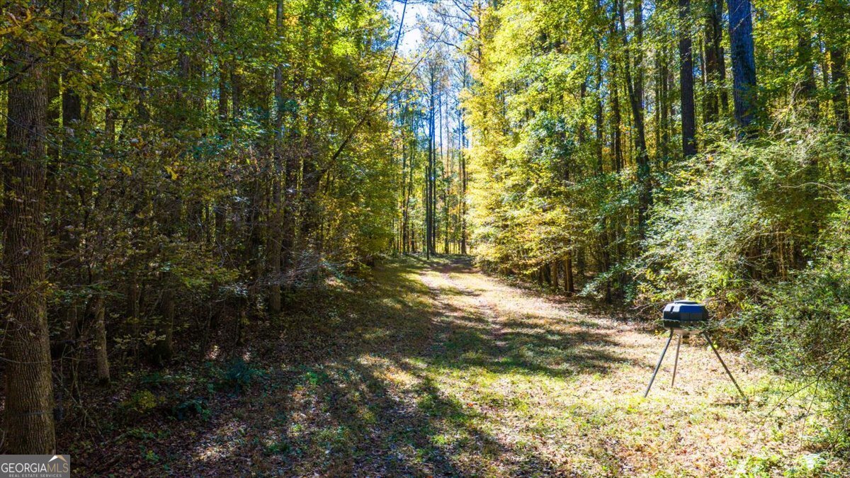 3471 Highway 42 Forsyth, GA 31029 - Photo 28 of 29