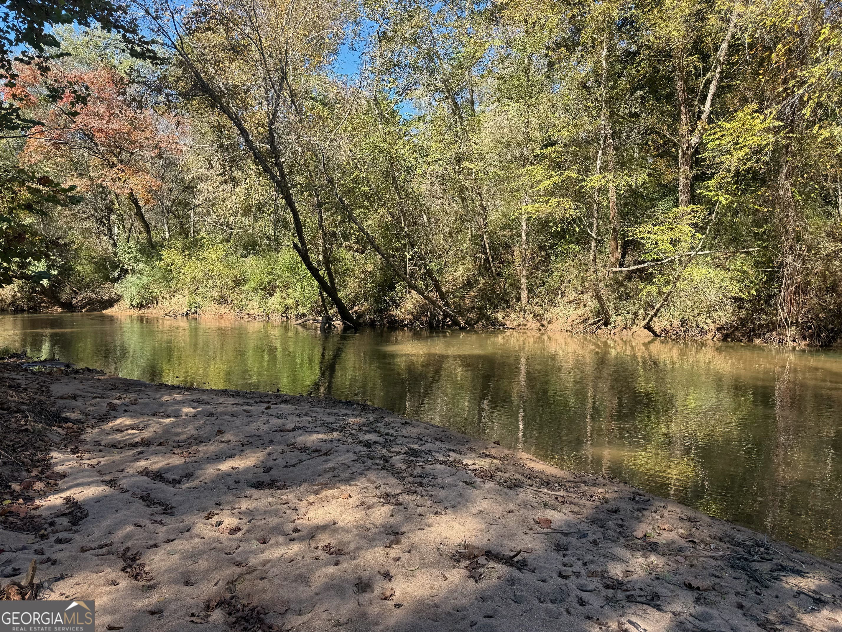 3471 Highway 42 Forsyth, GA 31029 - Photo 3 of 29