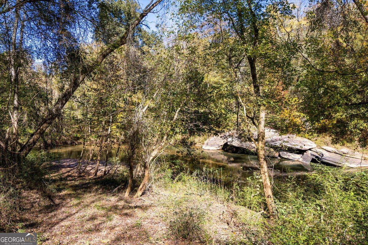 3471 Highway 42 Forsyth, GA 31029 - Photo 4 of 29