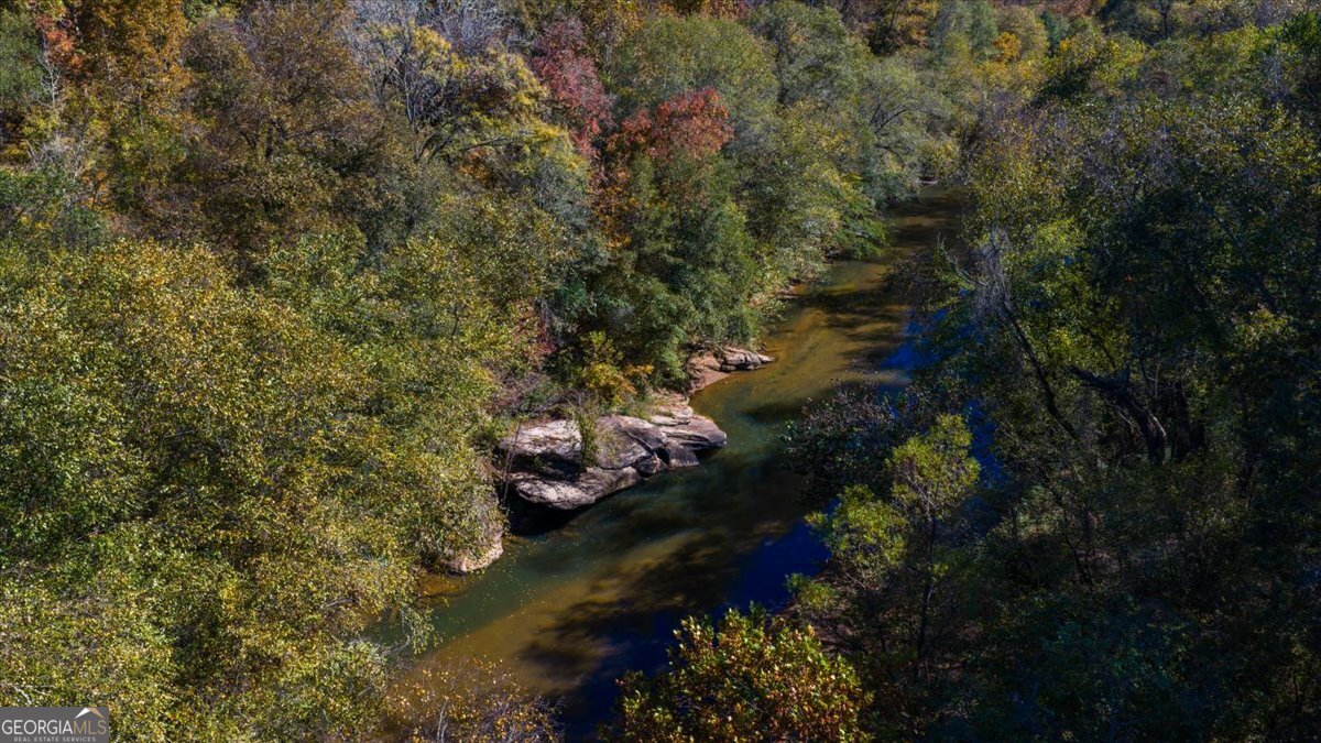 3471 Highway 42 Forsyth, GA 31029 - Photo 5 of 29