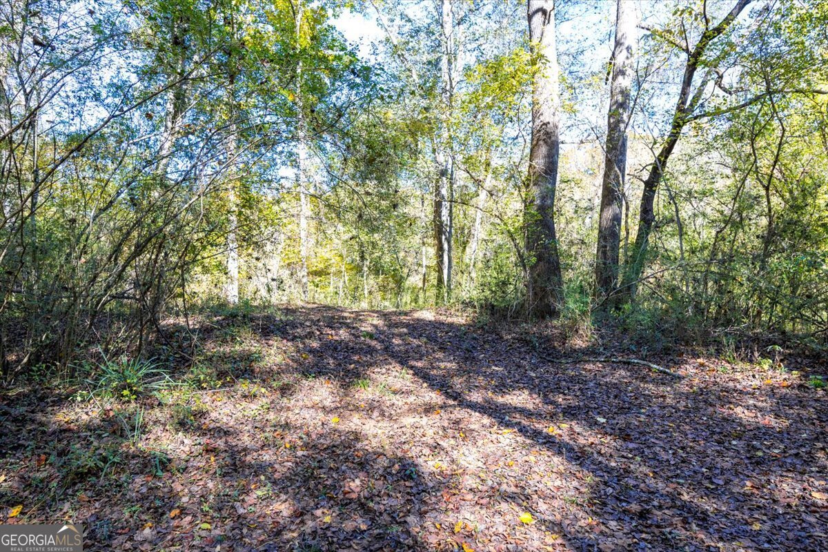 3471 Highway 42 Forsyth, GA 31029 - Photo 6 of 29