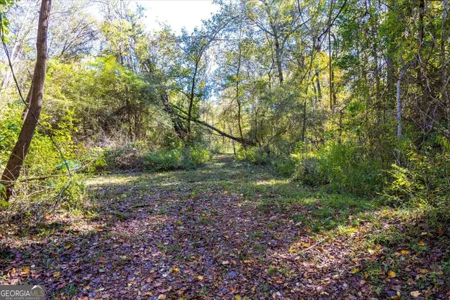 a view of a yard with a tree