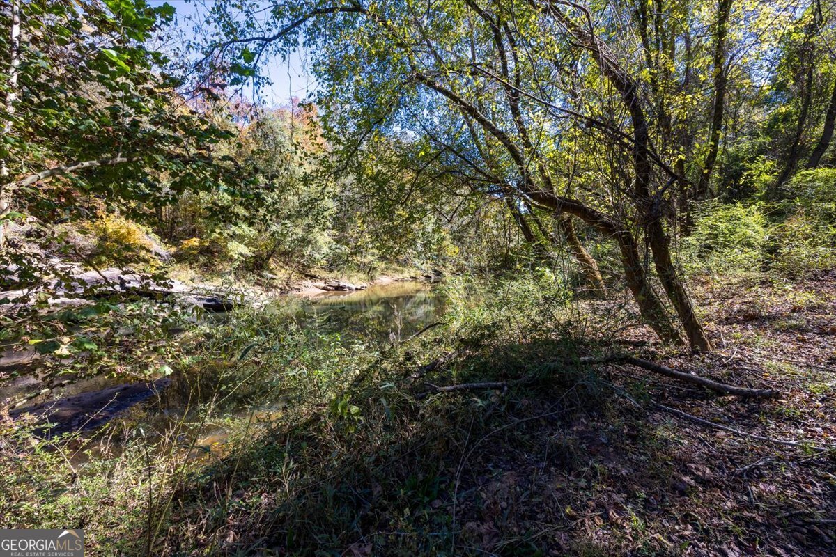 3471 Highway 42 Forsyth, GA 31029 - Photo 8 of 29