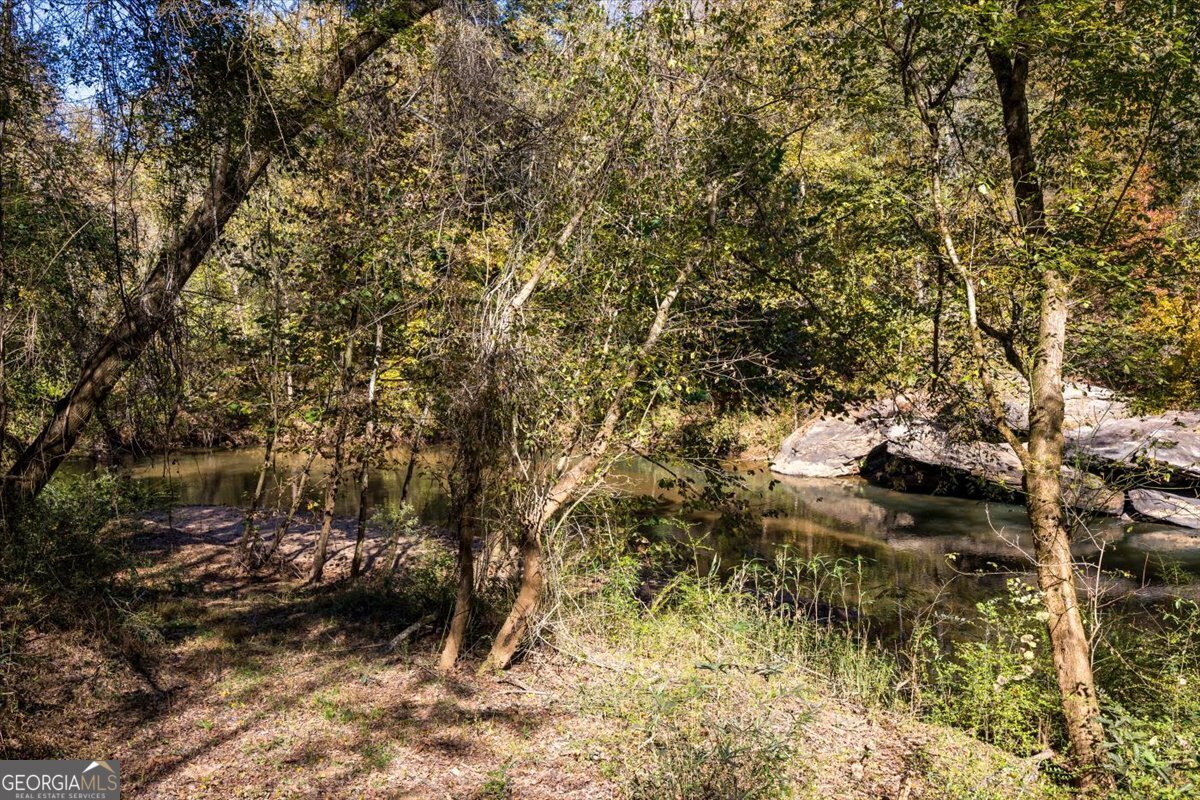 3471 Highway 42 Forsyth, GA 31029 - Photo 9 of 29