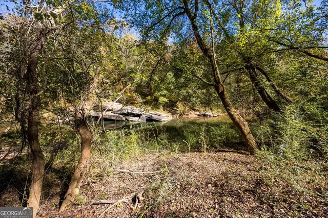 a view of a yard with a tree